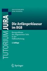 Die Anfängerklausur im BGB: Kernprobleme des Allgemeinen Teils in der Fallbearbeitung