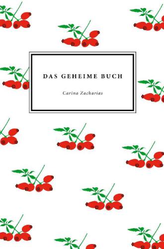 Das geheime Buch