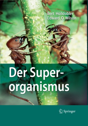DER SUPERORGANISMUS: Der Erfolg von Ameisen, Bienen, Wespen und Termiten