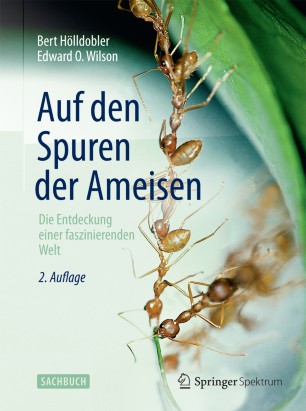 Auf den Spuren der Ameisen: Die Entdeckung einer faszinierenden Welt
