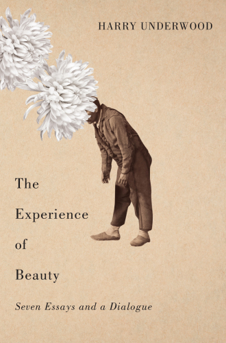 The experience of beauty: seven essays and a dialogue