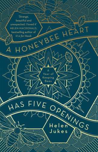A honeybee heart has five openings: a year of keeping bees
