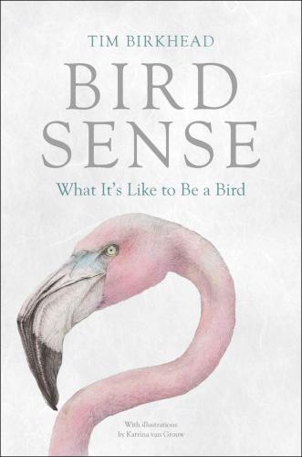 Bird Sense: What It's Like to Be a Bird