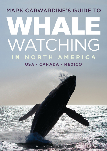 Mark Carwardine's guide to whale watching in North America: USA, Canada, Mexico, where to go, what to see