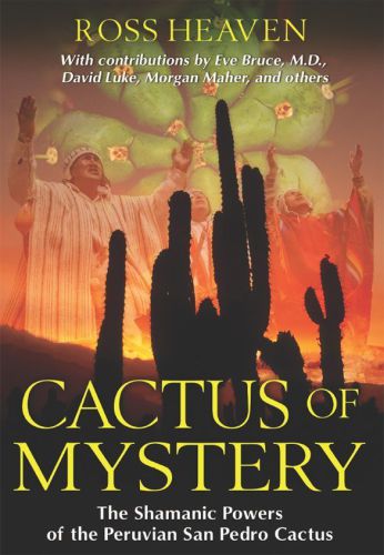 Cactus of mystery the shamanic powers of the Peruvian San Pedro cactus