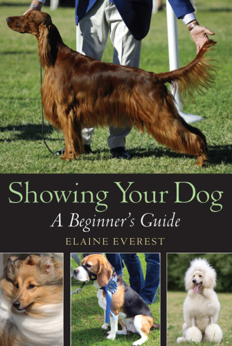 Showing Your Dog: a Beginner's Guide