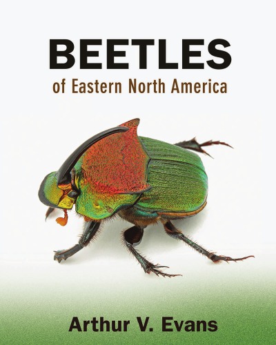 Beetles of eastern North America
