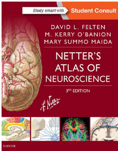 Netter's Atlas of Neuroscience E-Book