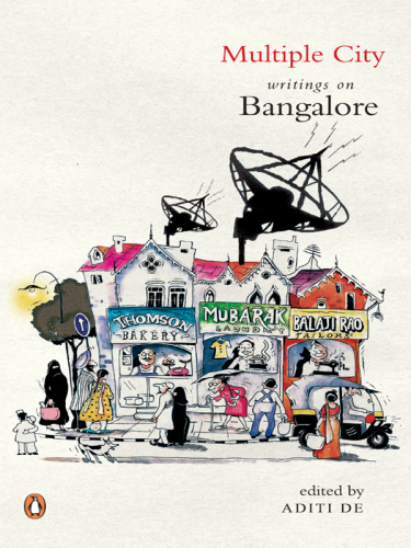 Multiple city: writings on Bangalore