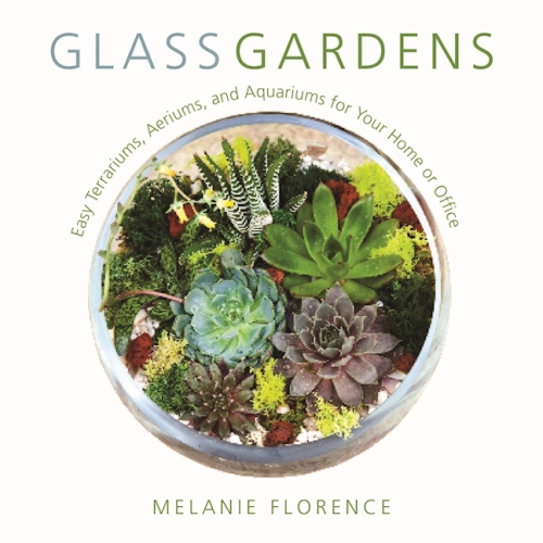 Skyhorse Glass gardens: easy terrariums, aeriums, and aquariums for your home or office