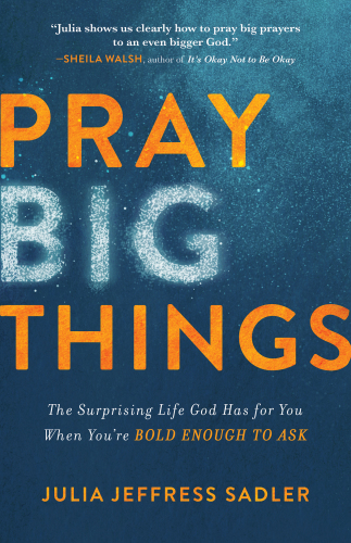 Pray big things: the surprising life god has for you when you're bold enough to ask