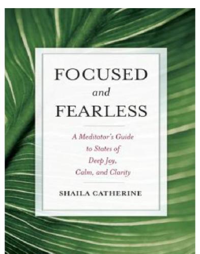 Focused and fearless a meditator's guide to states of deep joy, calm, and clarity