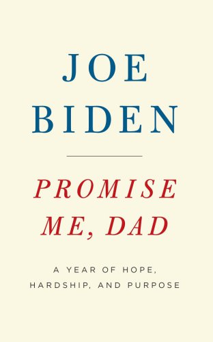 Promise me, dad: a year of hope, hardship, and purpose