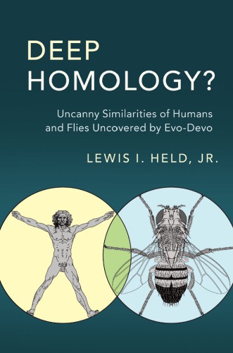 Deep homology?: uncanny similarities of humans and flies uncovered by evo-devo