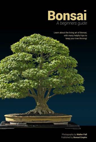 Bonsai: a beginner's guide: learn about the living art of Bonsai, with many helpful tips to keep your tree thriving!