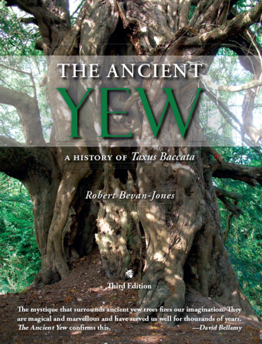 The ancient yew a history of Taxus baccata