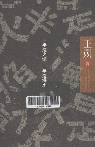 一半是火焰 一半是海水