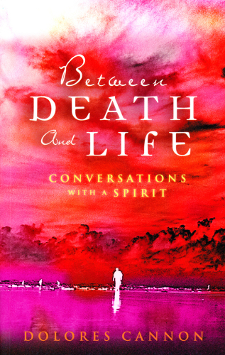Between death and life: conversations with a spirit