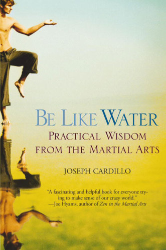Be Like Water: Practical Wisdom From the Martial Arts
