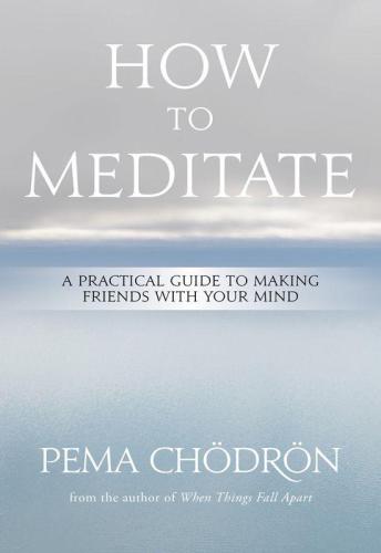 How to Meditate: A Practical Guide to Making Friends with Your Mind