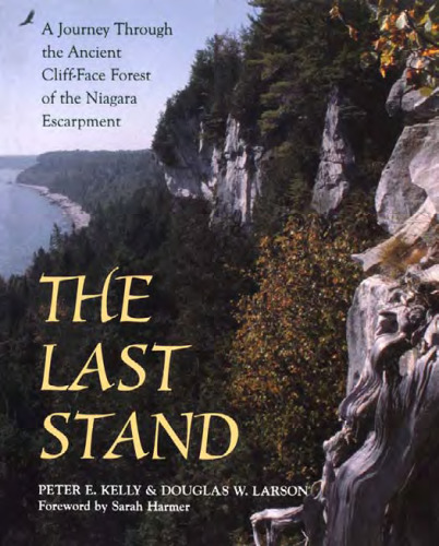 The Last Stand: A Journey Through the Ancient Cliff-Face Forest of the Niagara Escarpment