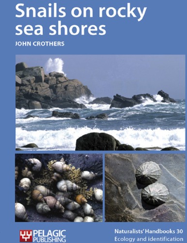 Snails on rocky sea shores