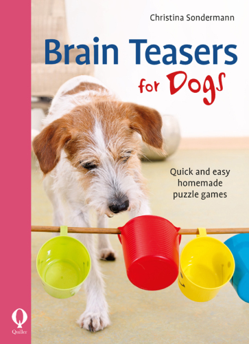 Brain teasers for dogs: quick and easy homemade puzzle games