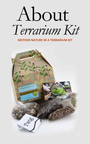 About Terrarium Kit: Mother Nature in a Terrarium Kit