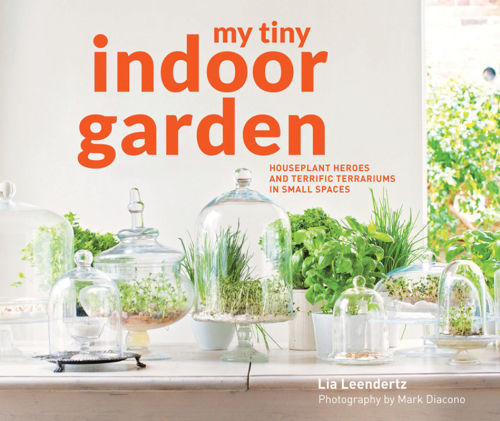 My tiny indoor garden: houseplant heroes and terrific terrariums in small spaces