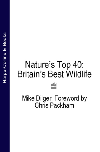 Nature's Top 40 Britain's Best