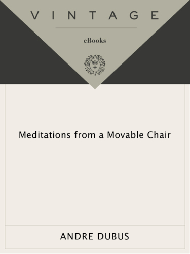 Meditations from a movable chair: essays