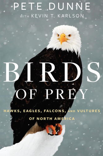 Birds of prey: hawks, eagles, falcons, and vultures of North America