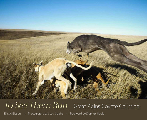To see them run: Great Plains coyote coursing