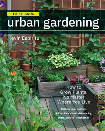 Field guide to urban gardening: how to grow plants, no matter where you live