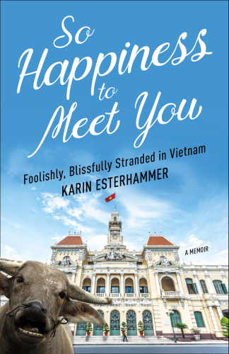 So happiness to meet you: foolishly, blissfully stranded in Vietnam