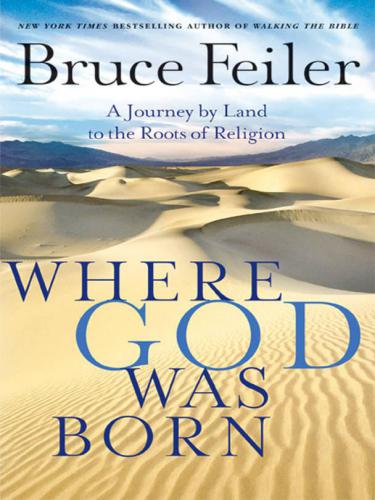 Where God was born: a daring adventure through the Bible's greatest stories