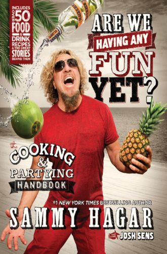 Are we having any fun yet?: the cooking & partying handbook