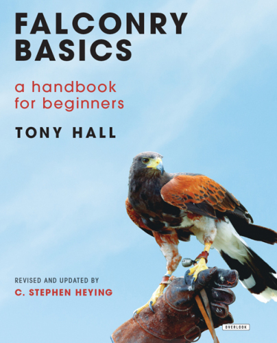 Falconry basics: a handbook for beginners