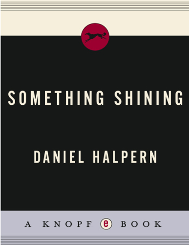 Something Shining: Poems