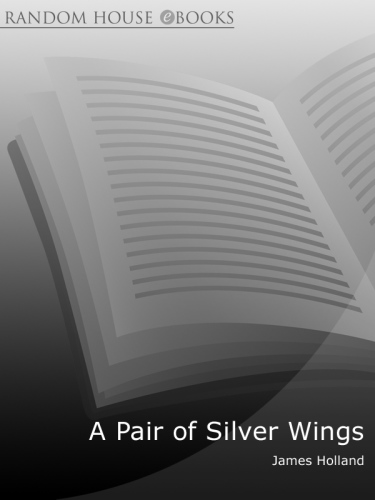 A Pair of Silver Wings
