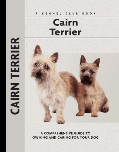 Cairn Terrier