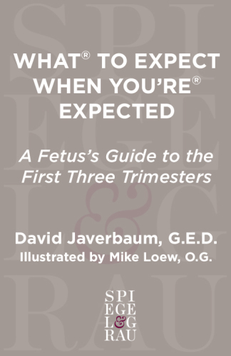 What to expect when you're expected: a fetus's guide to the first three trimesters