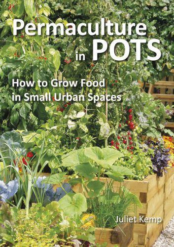 Permaculture in pots: how to grow food in small urban spaces