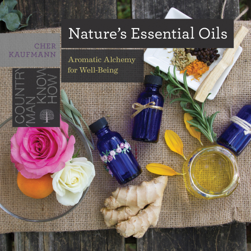 Nature's essential oils: aromatic alchemy for well-being