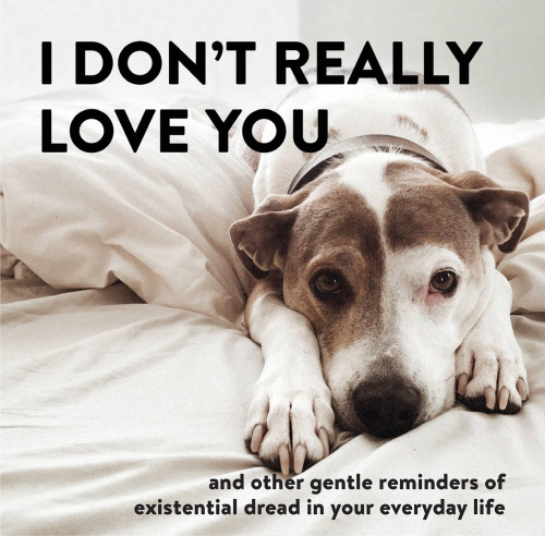 I don't really love you: and other gentle reminders of existential dread in your everyday life