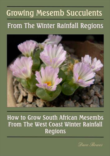 Growing Mesemb Succulents From The Winter Rainfall Regions