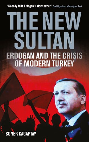 The New Sultan : Erdogan and the Crisis of Modern Turkey