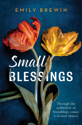 Small Blessings: Through the Unlikeliest of Friendships Comes a Second Chance