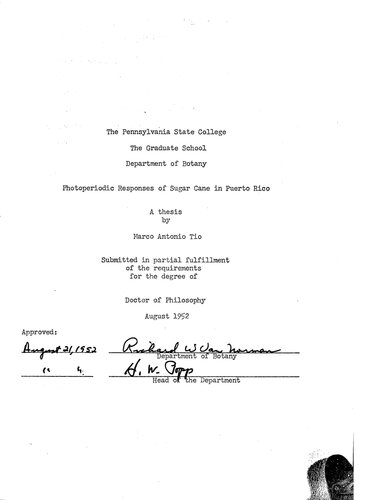PHOTOPERIODIC RESPONSES OF SUGAR CANE IN PUERTO RICO