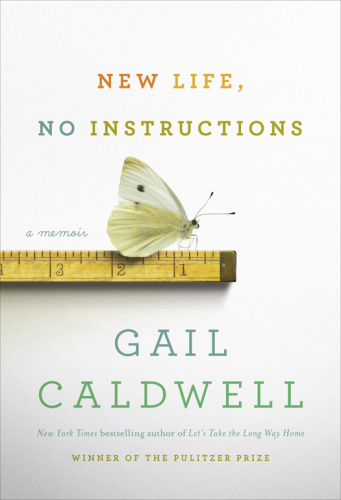 New life, no instructions: a memoir
